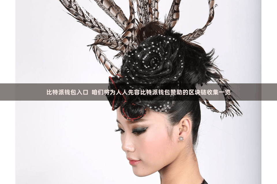 比特派钱包入口 咱们将为人人先容比特派钱包赞助的区块链收集一览