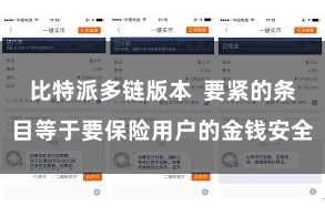 比特派多链版本 要紧的条目等于要保险用户的金钱安全