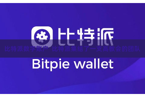 比特派数字账户 比特派集结了一支高教会的团队