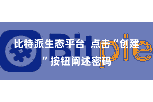 比特派生态平台  点击“创建”按钮阐述密码