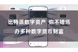比特派数字资产  你不错惩办多种数字货币财富