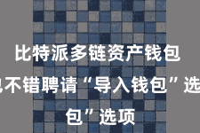 比特派多链资产钱包  也不错聘请“导入钱包”选项