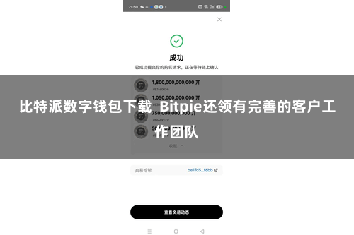 比特派数字钱包下载  Bitpie还领有完善的客户工作团队