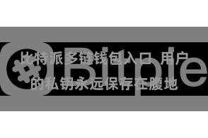 比特派多链钱包入口  用户的私钥永远保存在腹地
