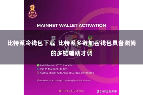 比特派冷钱包下载  比特派多链加密钱包具备渊博的多链辅助才调