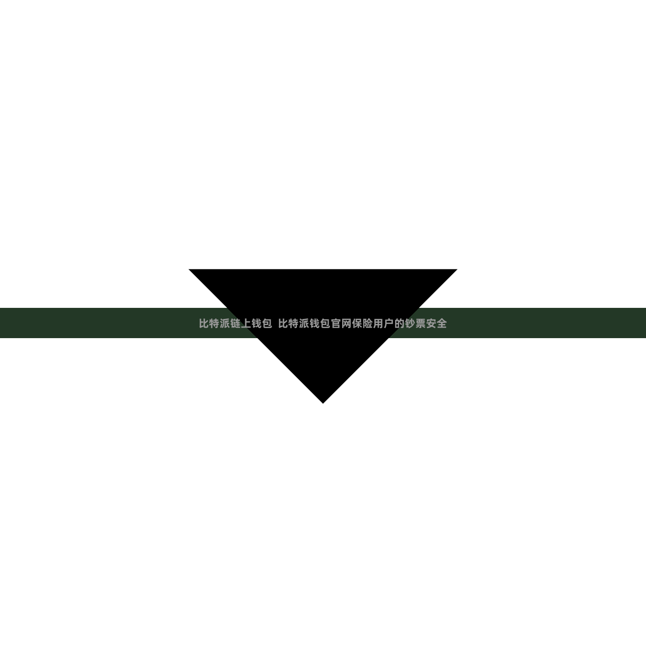 比特派链上钱包 比特派钱包官网保险用户的钞票安全